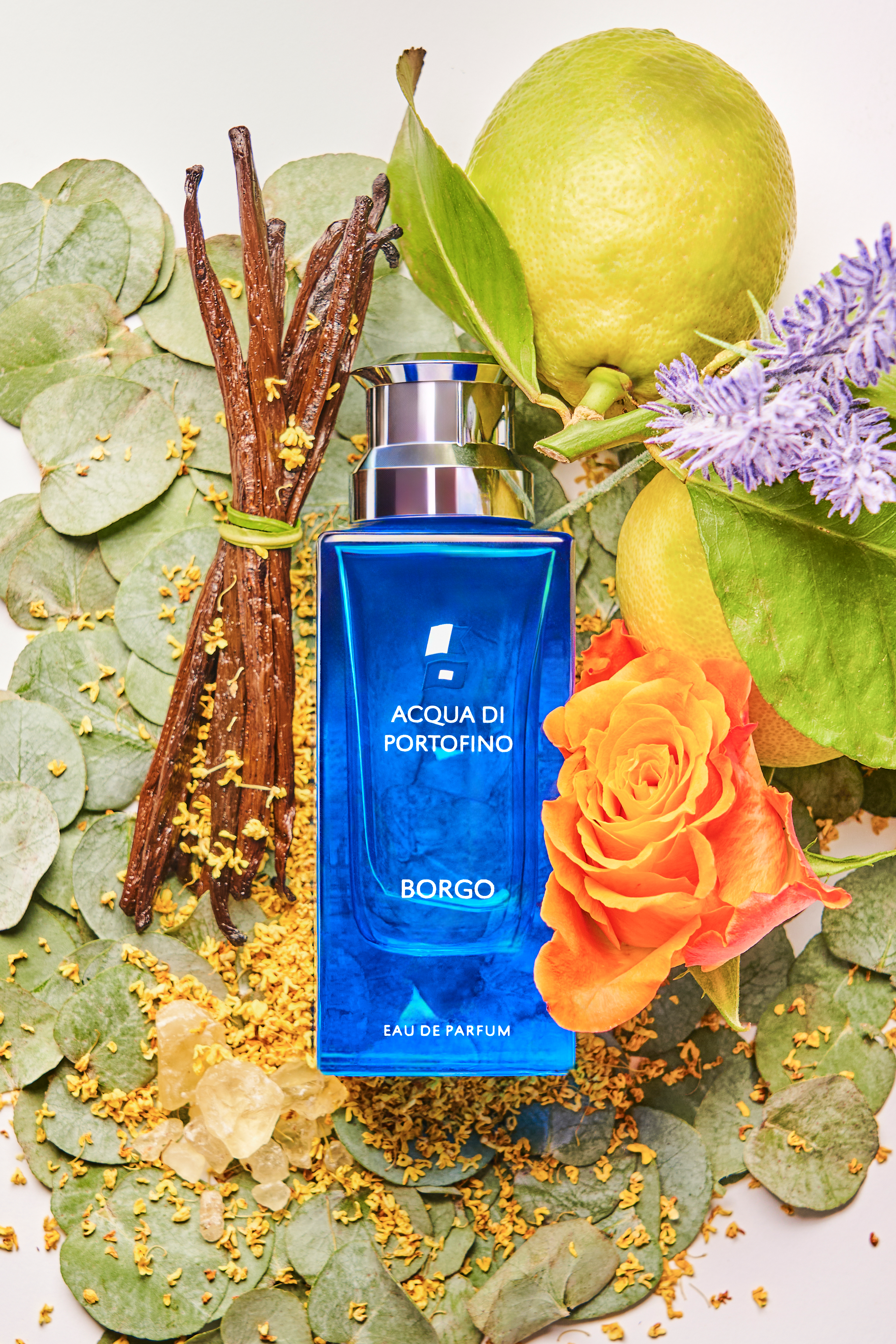 Acqua di Portofino Borgo profumo - Borgo Eau de Parfum - Profumo uomo/donna - elegante e sofisticato - floreale e vibrante - Note di testa: bergamotto, pepe rosa, mare, gelsomino notturno - Note di cuore: patchouli, iris, vaniglia, muschio - Note di fondo